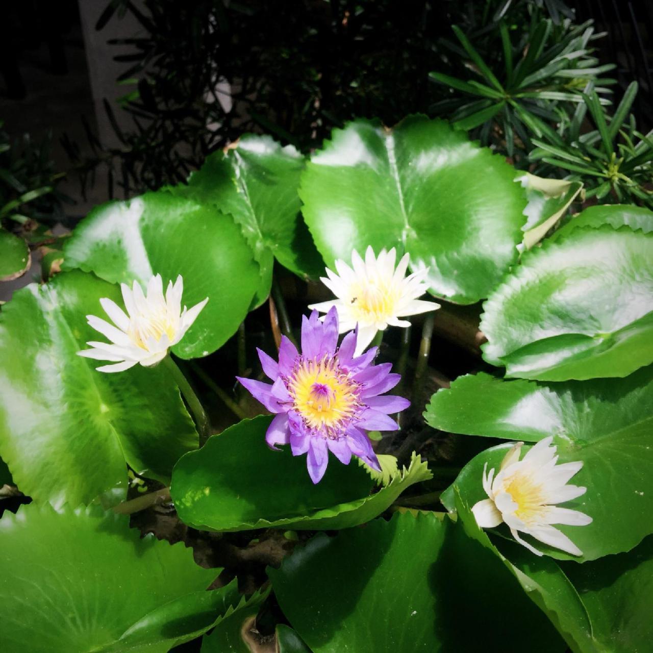 The An Homestay 호치민 외부 사진